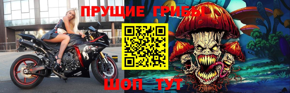 Галлюциногенные грибы GOLDEN TEACHER  Галлюциногенные грибы прущие грибы  Жигулёвск  Вход с VPN 
